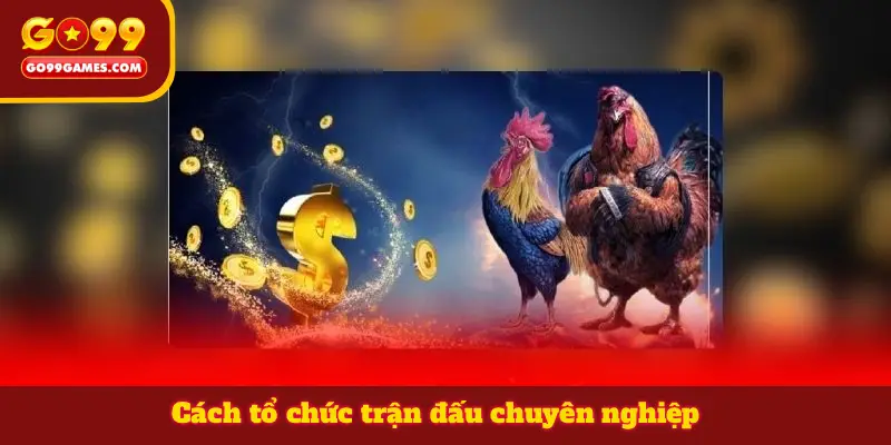 Cách tổ chức trận đấu chuyên nghiệp