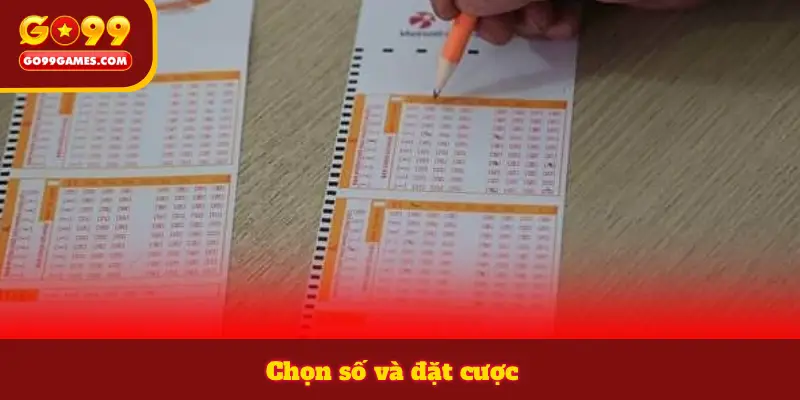 Chọn số và đặt cược