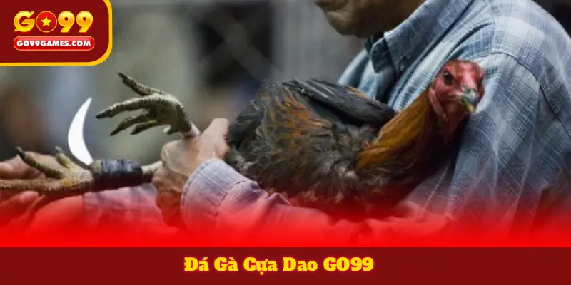 Đá Gà Cựa Dao GO99