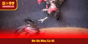 Đá Gà Đòn Là Gì