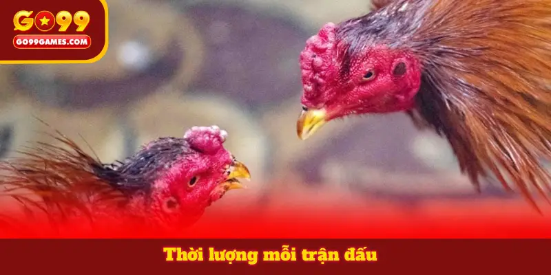 Thời lượng mỗi trận đấu