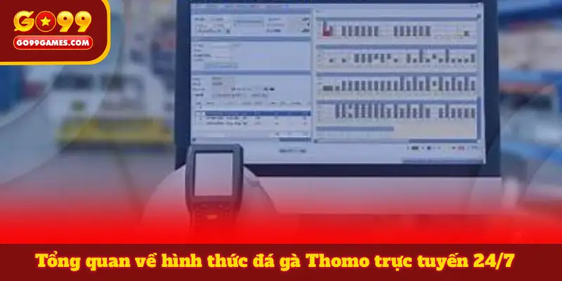 Tổng quan về hình thức đá gà Thomo trực tuyến 24/7