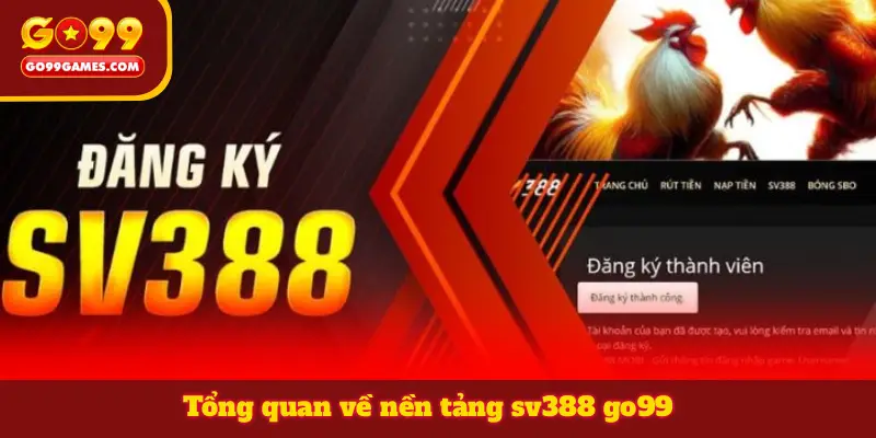 Tổng quan về nền tảng sv388 go99